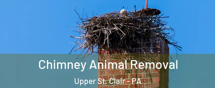 Chimney Animal Removal Upper St. Clair - PA