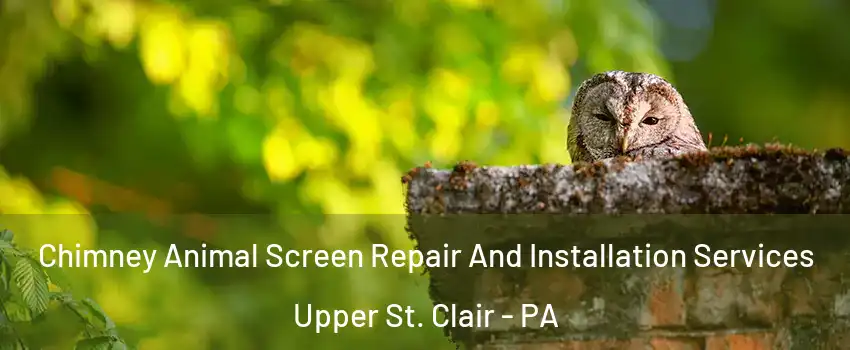  Chimney Animal Screen Repair And Installation Services Upper St. Clair - PA