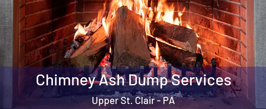  Chimney Ash Dump Services Upper St. Clair - PA
