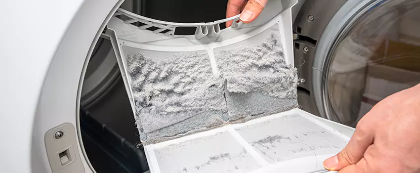Best Dryer Lint Removal Company in Upper St. Clair, Pennsylvania