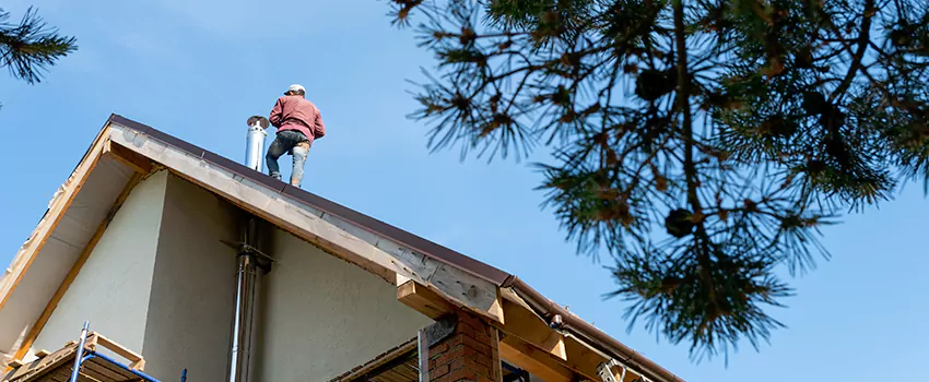 Birds Removal Contractors from Chimney in Upper St. Clair, PA