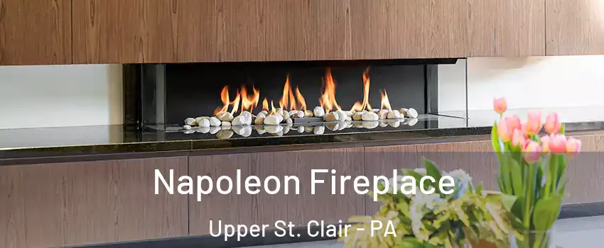  Napoleon Fireplace Upper St. Clair - PA